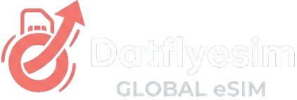 Dataflyesim Logo